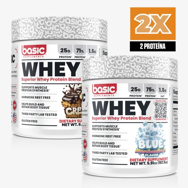 2X Basic Whey Mini