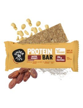 Underfive Protein Bar 45gr Vegana Salted Penault