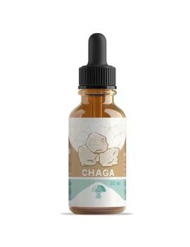 Chaga Fungi