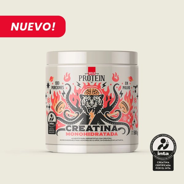 Creatina Monohidratada En Polvo 500g